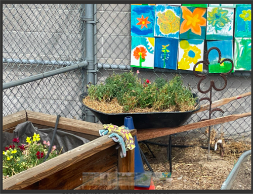 Garden Club 